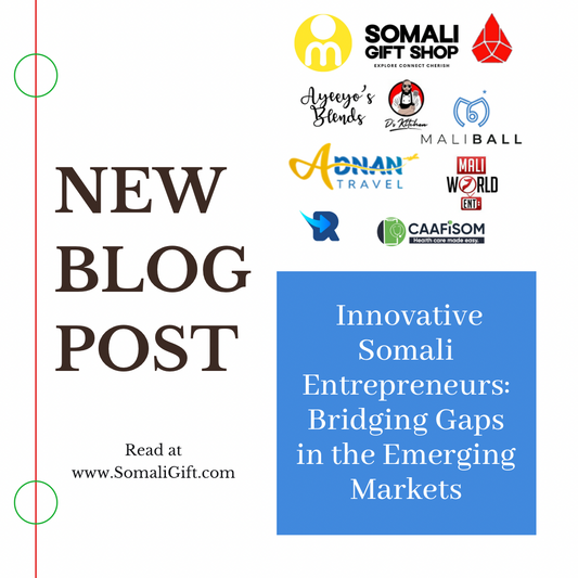 Innovative Somali Entrepreneurs: Bridging Gaps in the Emerging Markets
