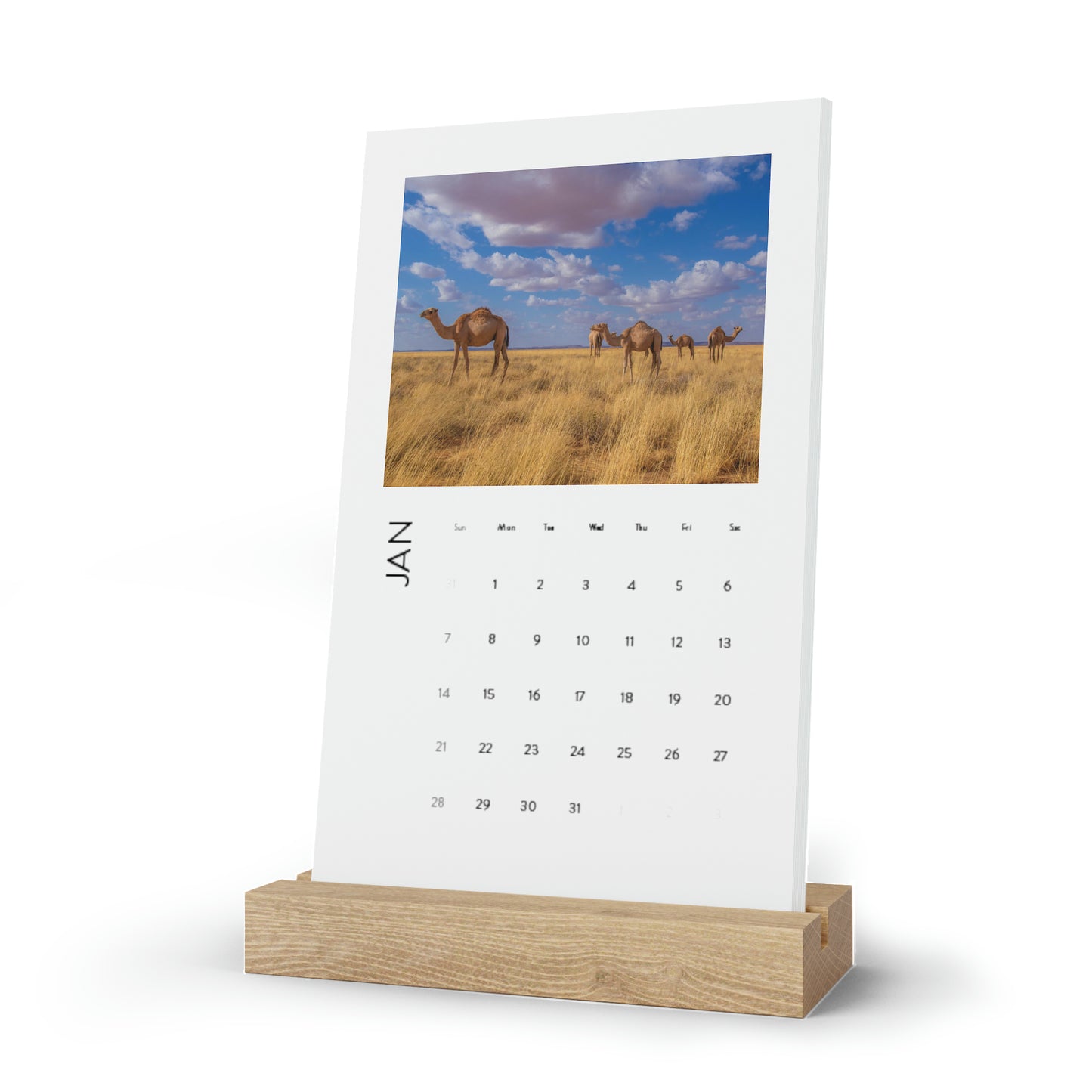Desk Calendar (2024) by Abdilaahi Persia