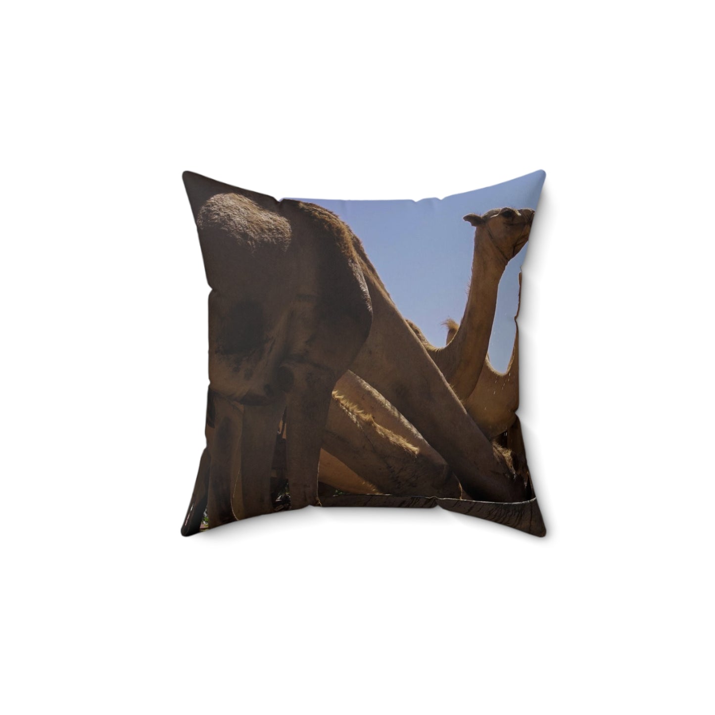 Polyester Square Pillow - Camels by Abdilaahi Persia