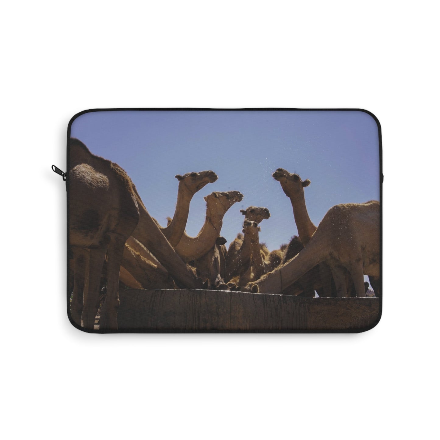 Laptop Sleeve - Camels by Abdilaahi Persia