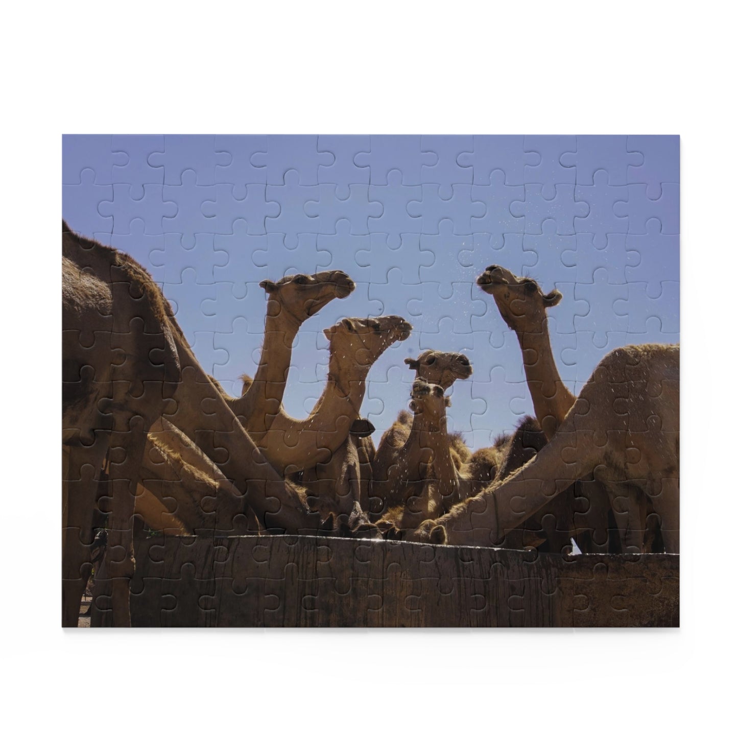 Puzzle (120, 252, 500-Piece) - Camels by Abdilaahi Persia