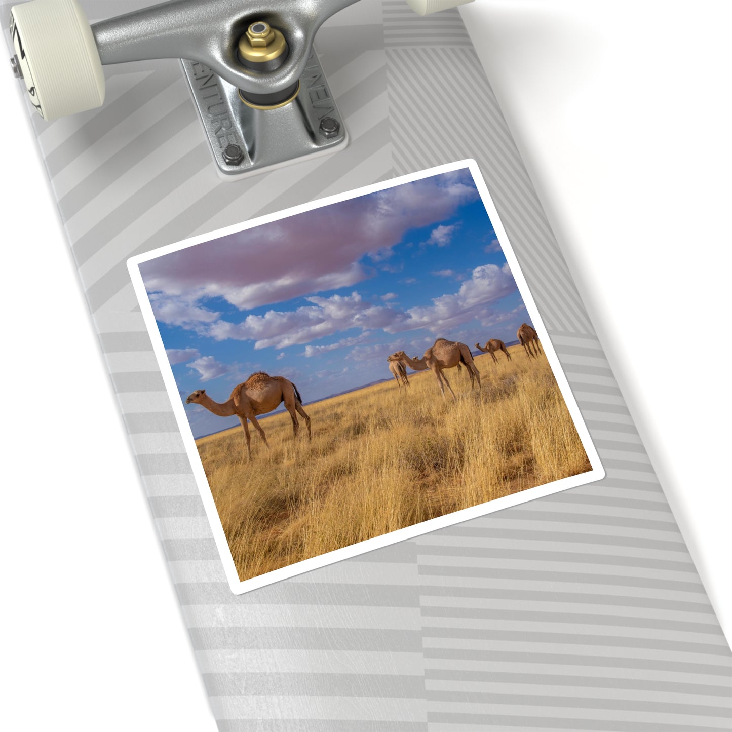 Square Stickers - Camels by Abdilaahi Persia