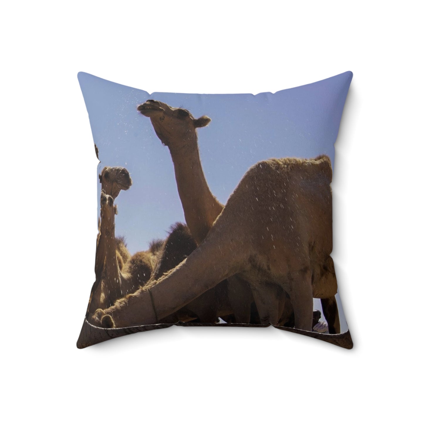 Polyester Square Pillow - Camels by Abdilaahi Persia